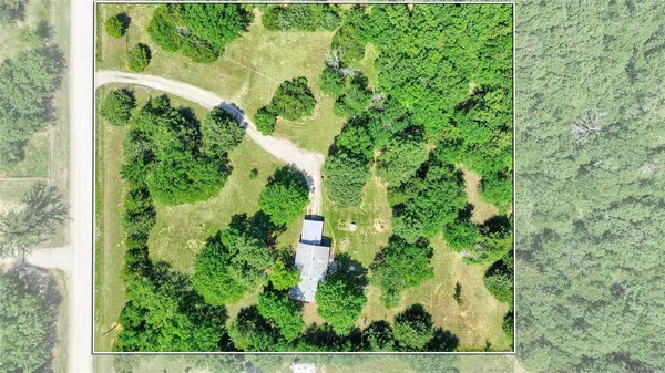 an aerial view of a garden with plants