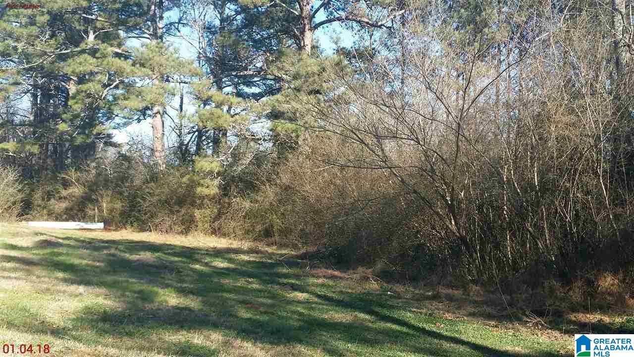 190 Sunset Hl Road Pell City, AL 35128 - Photo 11 of 12