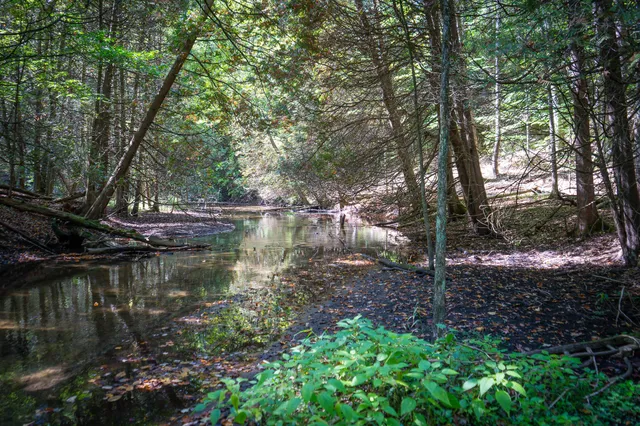 $62,500 | 2.46 East A E White River Drive, Hesperia, MI 49421