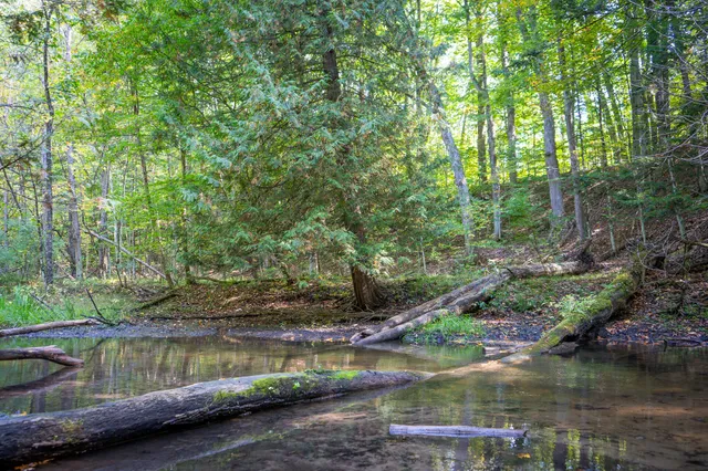 $62,500 | 2.46 East A E White River Drive, Hesperia, MI 49421