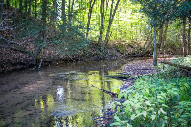 $62,500 | 2.46 East A E White River Drive, Hesperia, MI 49421