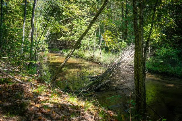 $62,500 | 2.46 East A E White River Drive, Hesperia, MI 49421