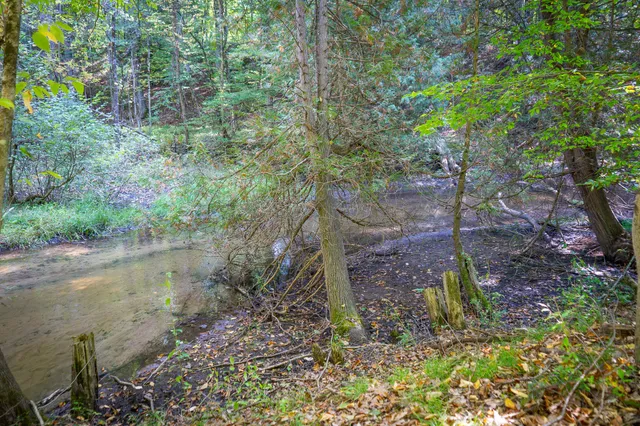 $62,500 | 2.46 East A E White River Drive, Hesperia, MI 49421