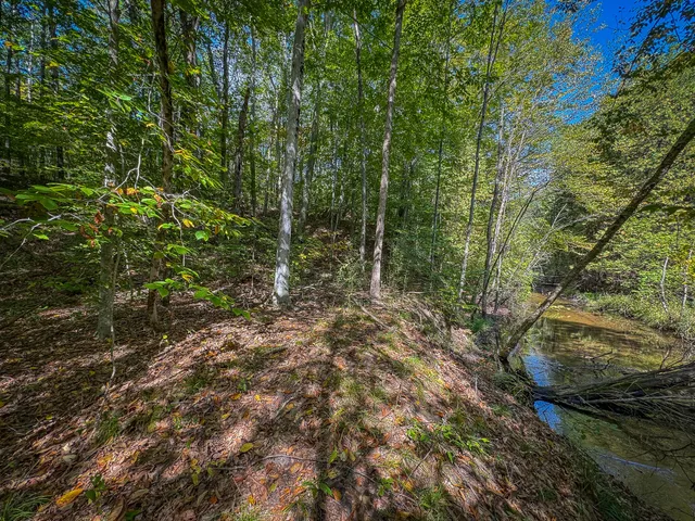 $62,500 | 2.46 East A E White River Drive, Hesperia, MI 49421