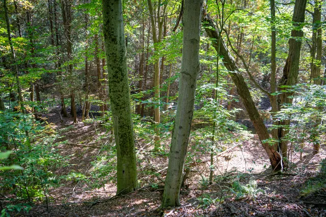 $62,500 | 2.46 East A E White River Drive, Hesperia, MI 49421