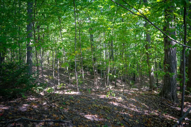 $62,500 | 2.46 East A E White River Drive, Hesperia, MI 49421