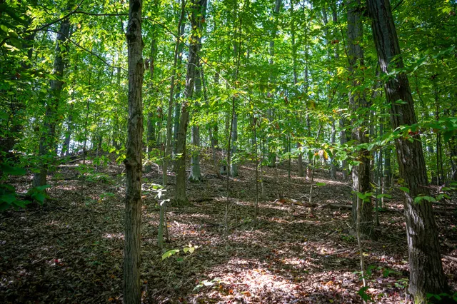 $62,500 | 2.46 East A E White River Drive, Hesperia, MI 49421