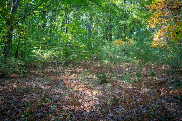 $62,500 | 2.46 East A E White River Drive, Hesperia, MI 49421