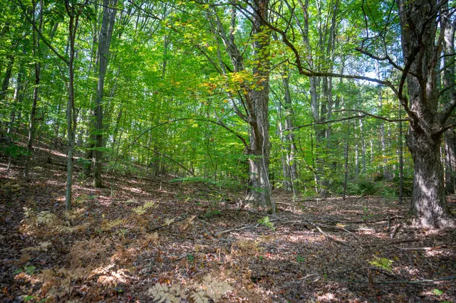 $62,500 | 2.46 East A E White River Drive, Hesperia, MI 49421