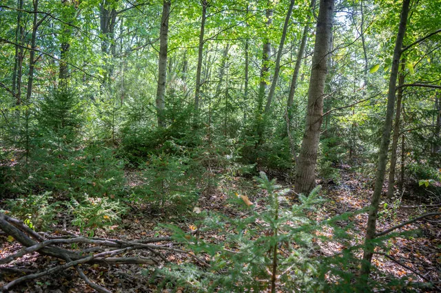 $62,500 | 2.46 East A E White River Drive, Hesperia, MI 49421