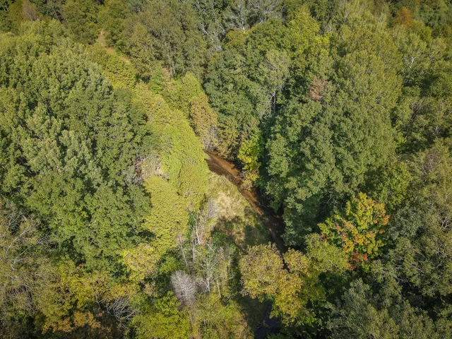 $62,500 | 2.46 East A E White River Drive, Hesperia, MI 49421