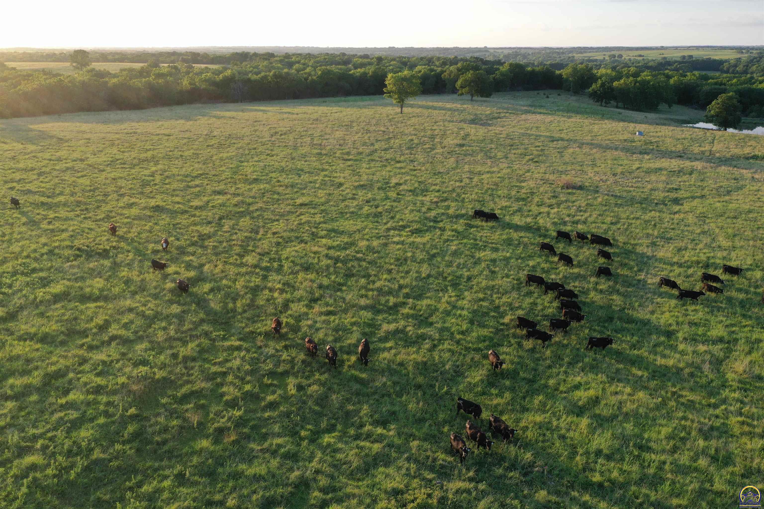 0 South Shawnee Heights Road Quenemo, KS 66528 - Photo 24 of 47 Gallery Image 24