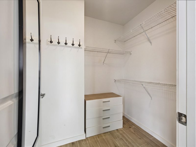 5925 Almeda Road, Unit 12202 Houston, TX 77004 - Photo 7 of 33 Large walk-in closet with built-in shelving, hanging space, and additional drawer storage to keep everything organized.
