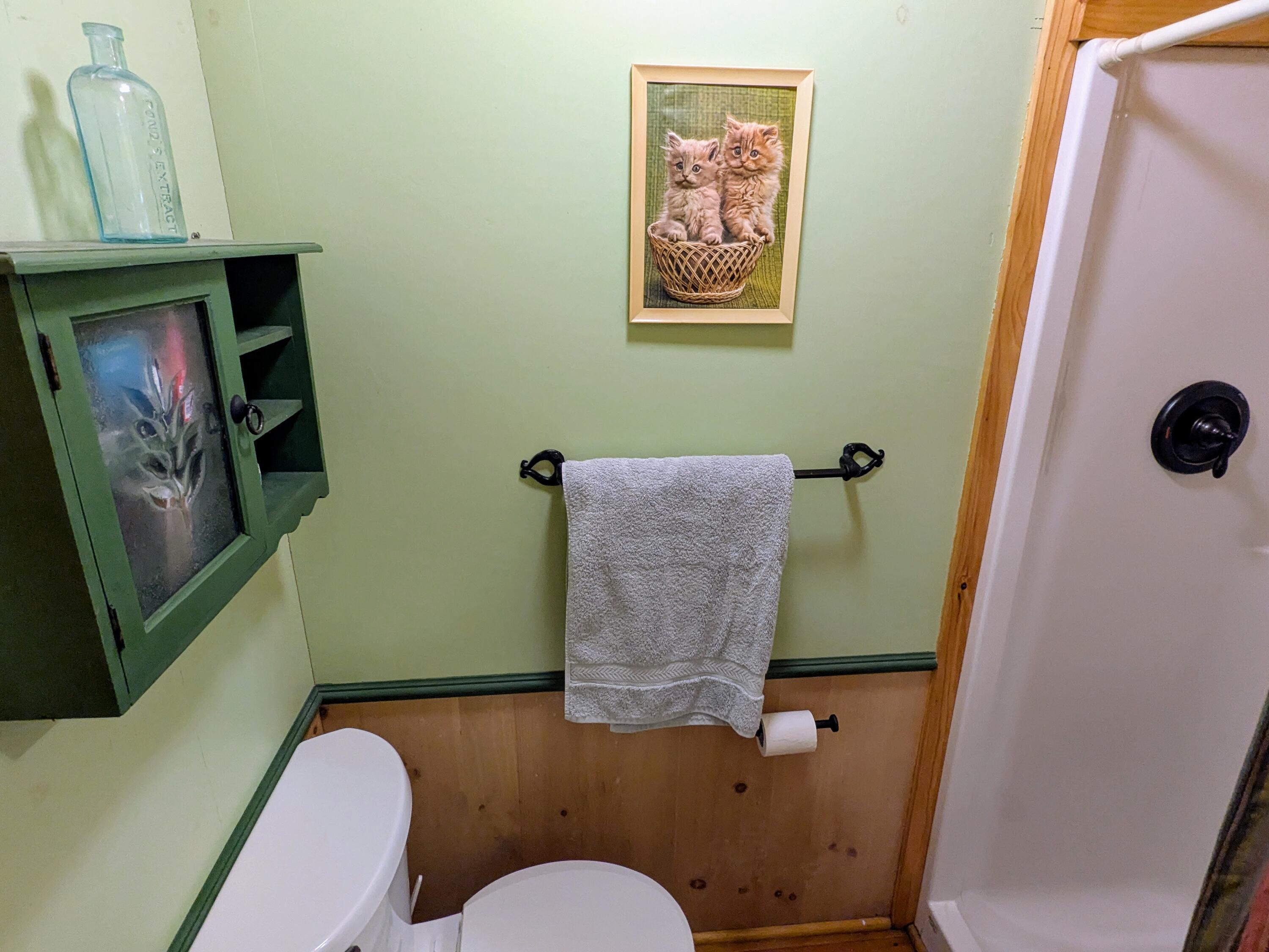 78 Sunset Road Dedham, ME 04429 - Photo 36 of 62 PXL_20250713_151618567