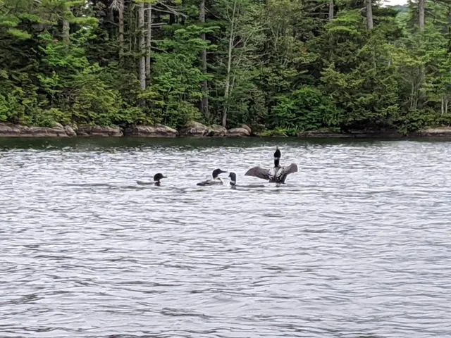 $250,000 | 78 Sunset Road, Dedham, ME 04429