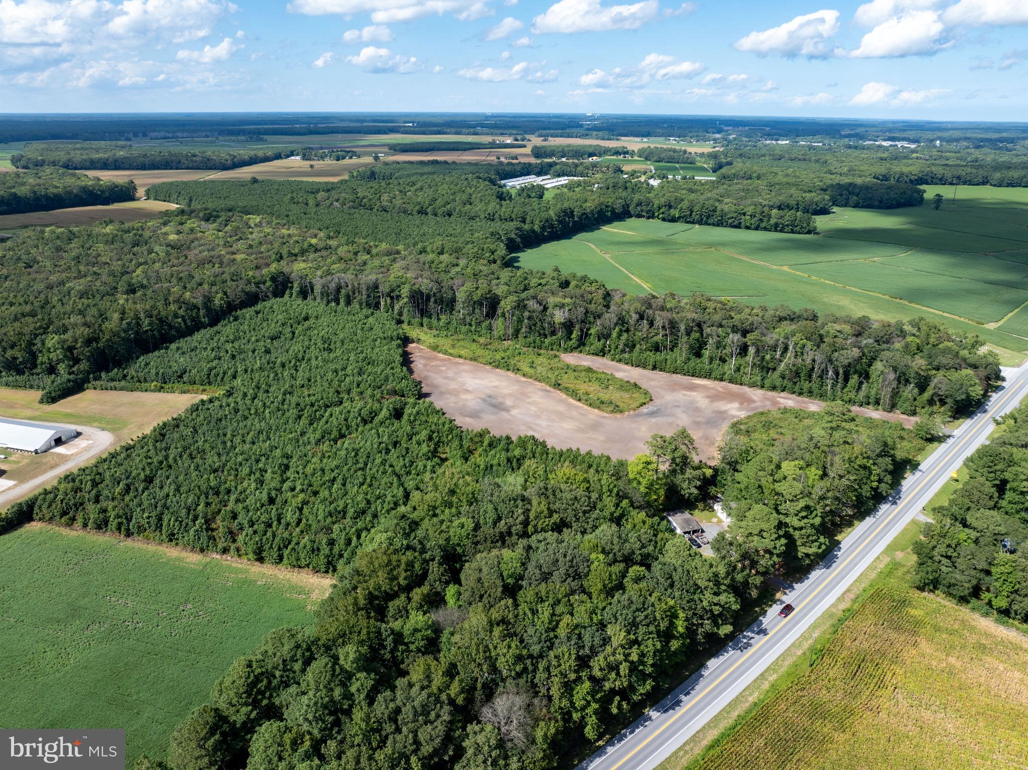 9431 Whaleyville Road Whaleyville, MD 21872 - Photo 5 of 8