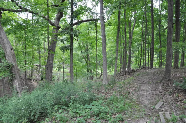 a view of outdoor space and green space