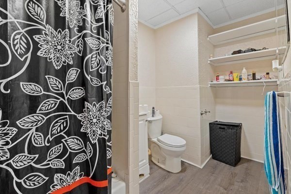 5 Palm Street Worcester, MA 01604 - Photo 12 of 25 Gallery Image 12