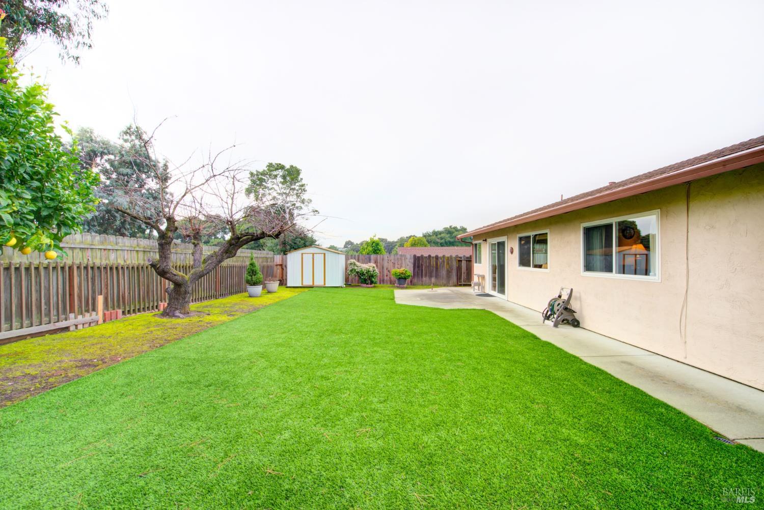909 Seascape Circle Rodeo, CA 94572 - Photo 32 of 44 Apricot tree next to fence