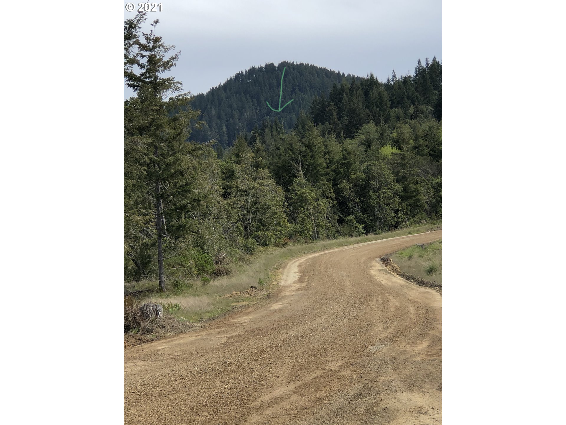 Grizzly Mountain Road, Unit 1500 Gold Beach, OR 97444 - Photo 8 of 19 Gallery Image 8