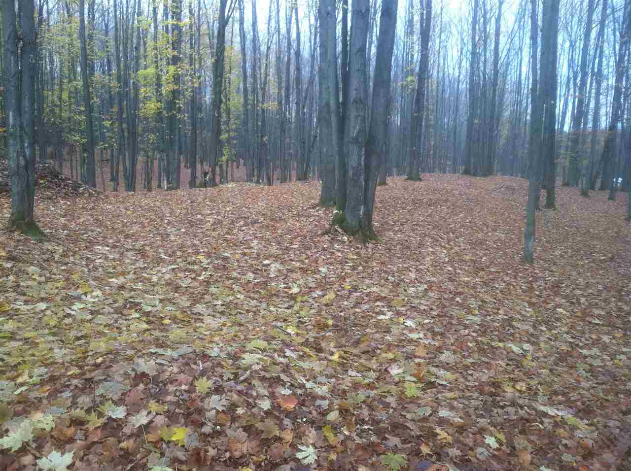 7033 West Phelps Road Manton, MI 49663 - Photo 45 of 63 1812764-46.JPG