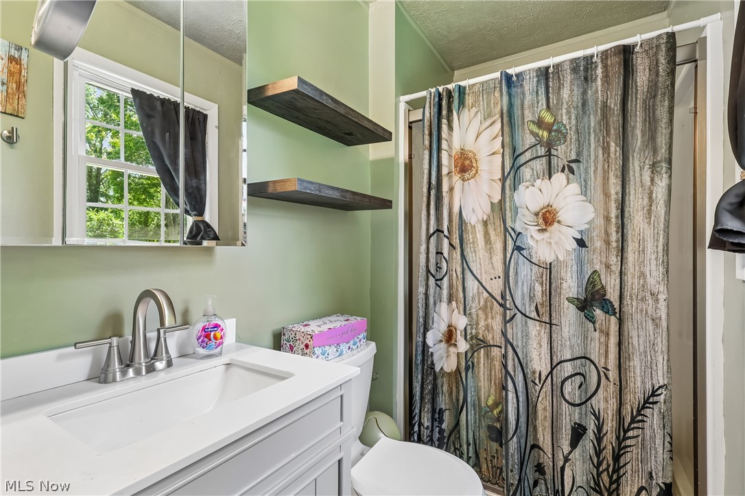 6109 North Oval Road Clinton, OH 44216 - Photo 22 of 47 Primary bathroom with sink, vanity, shower and commode