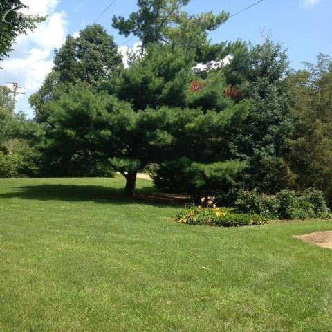 4801 Hollenbeck Road Columbiaville, MI 48421 - Photo 4 of 33 20416214-3.JPG