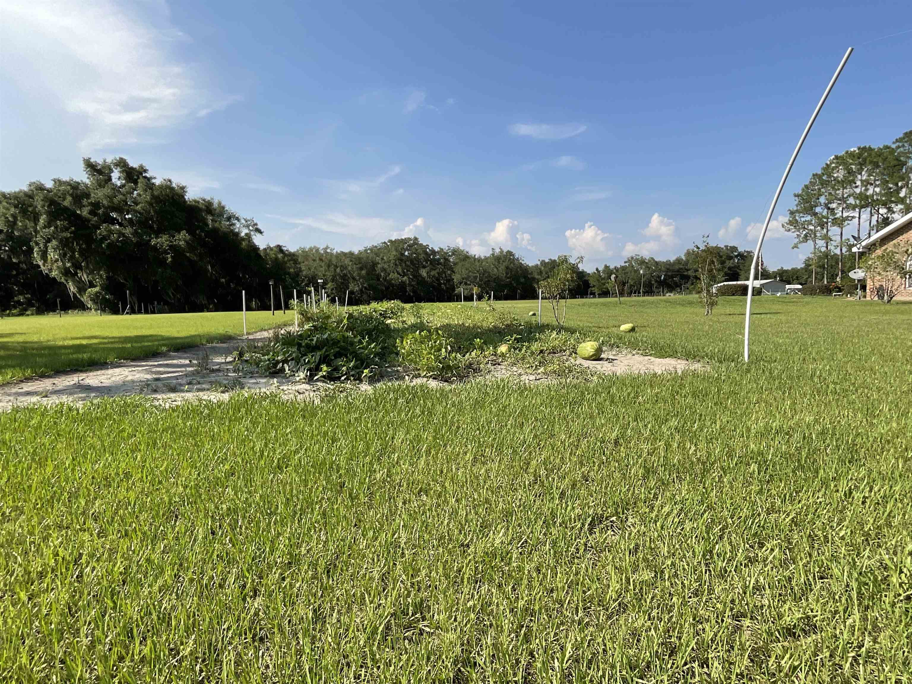 2887 Boyd Road Perry, FL 32347 - Photo 11 of 42