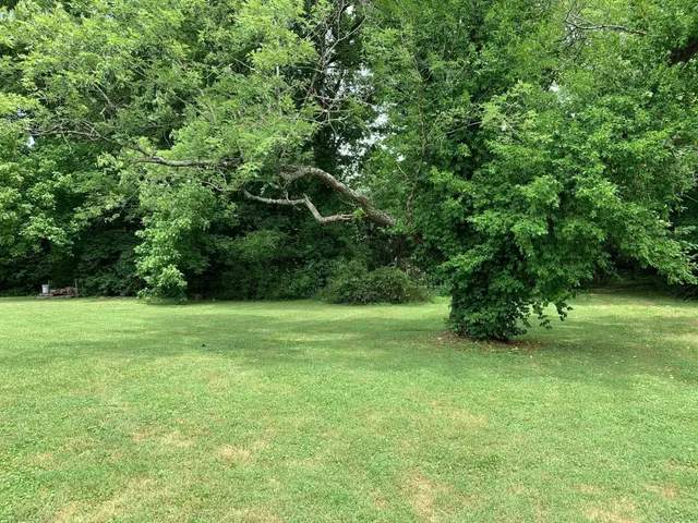 a view of field with trees in the background