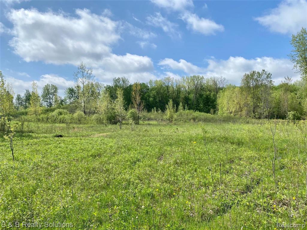 0 O Brien Road Mayville, MI 48744 - Photo 3 of 22