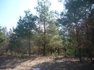 3 Pine Ridge Road Grand Haven, MI 49417 - Photo 6 of 6 Additional Photo