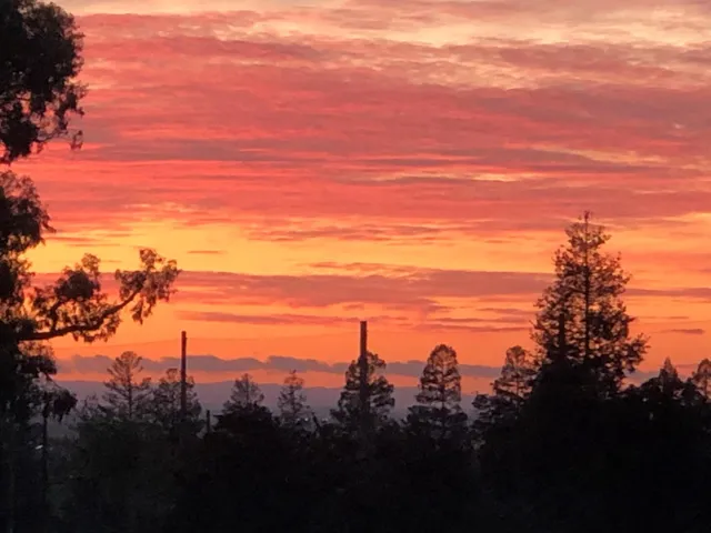 a vase of flowers sitting on a table