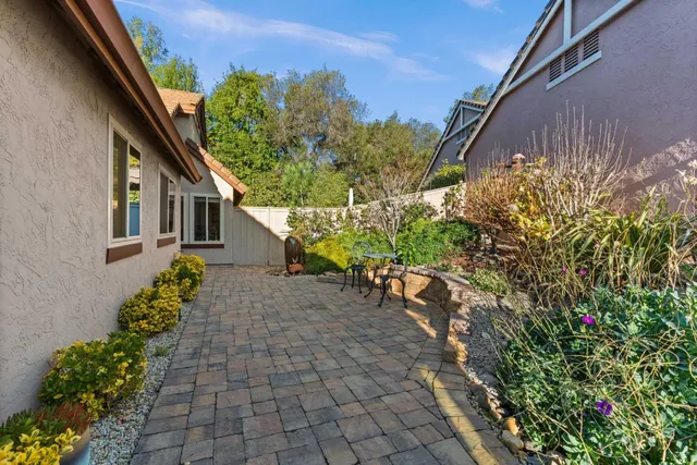 a view of a backyard with plants
