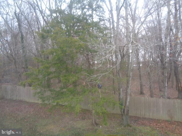 6801 Amherst Road Bryans Road, MD 20616 - Photo 7 of 28 BACK YARD