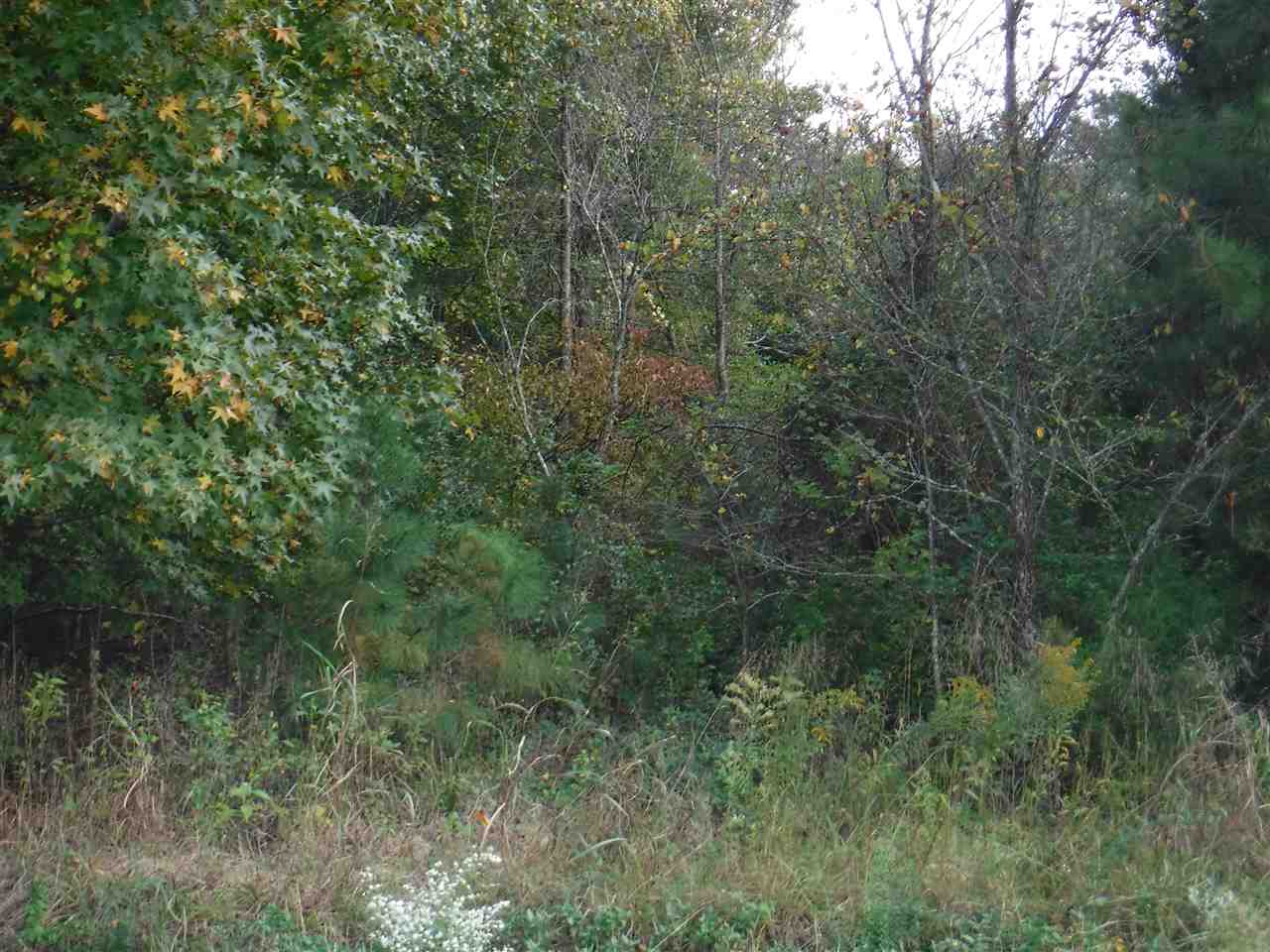 1440 Piedmont Road Chesnee, SC 29323 - Photo 3 of 11