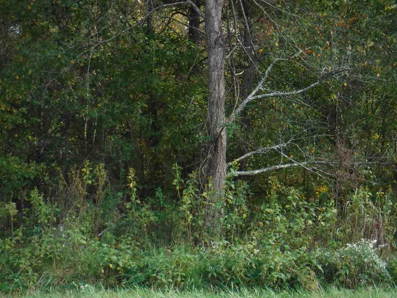 1440 Piedmont Road Chesnee, SC 29323 - Photo 5 of 11