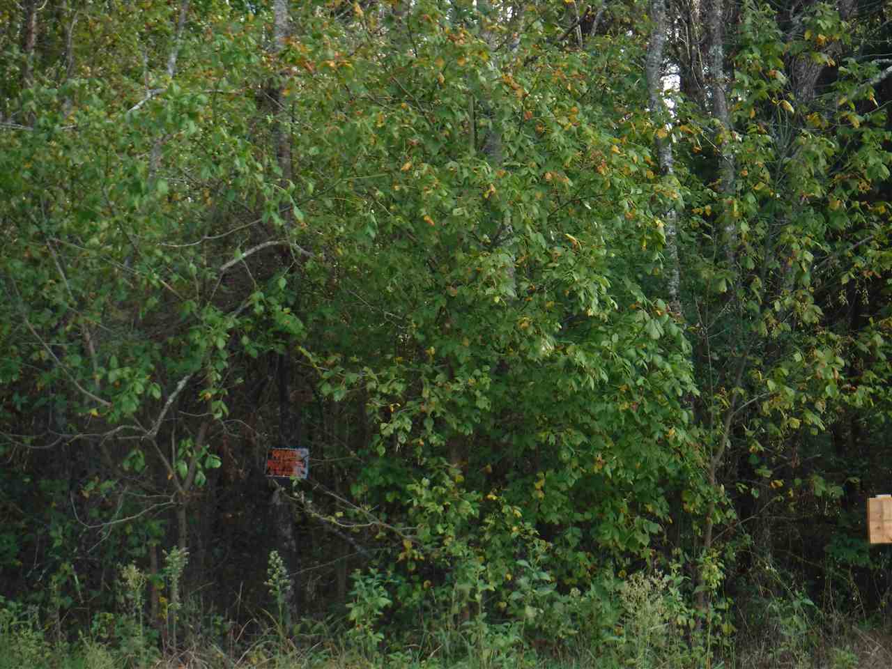1440 Piedmont Road Chesnee, SC 29323 - Photo 8 of 11