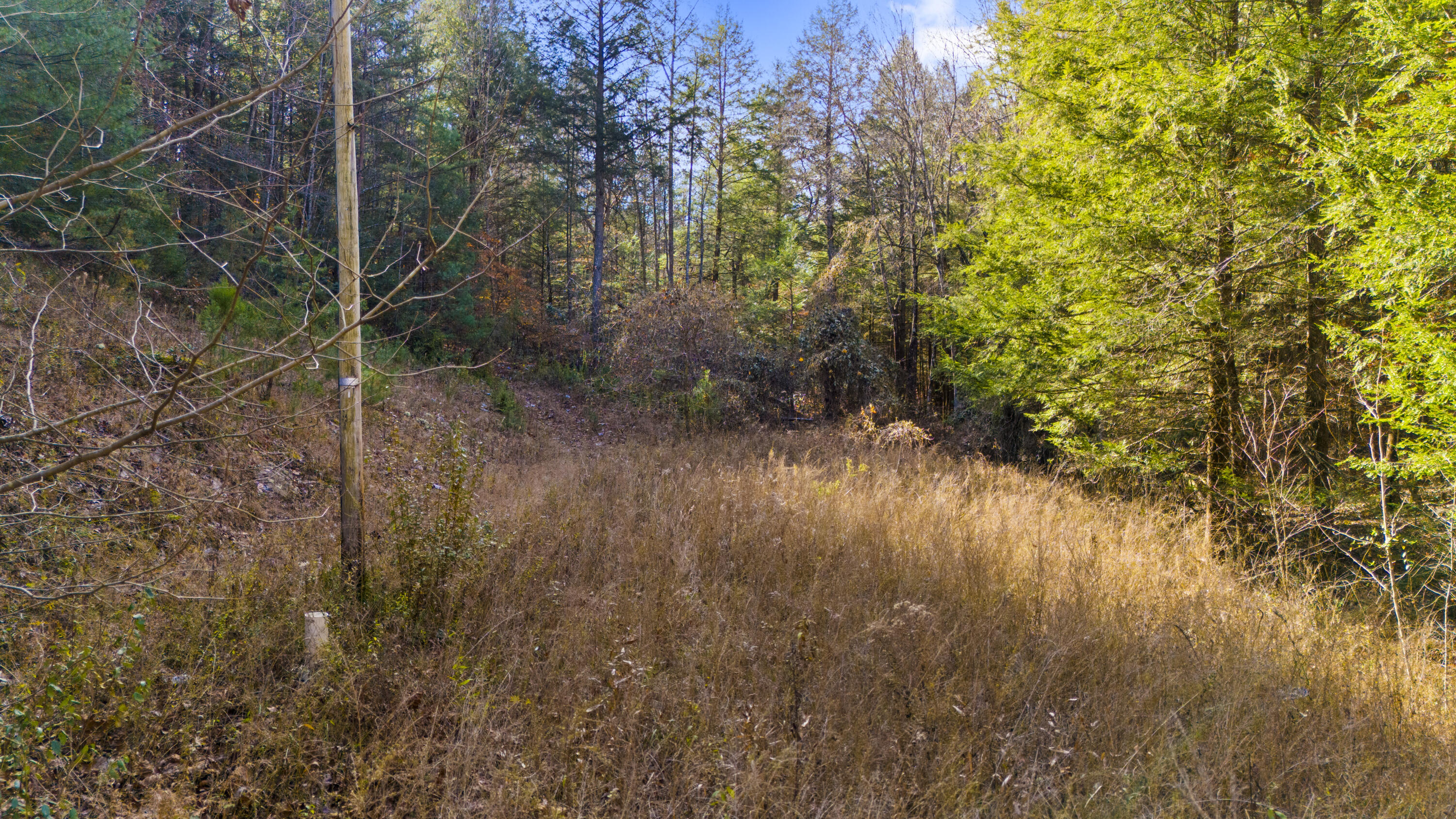 0 Mill Branch Road Campton, KY 41301 - Photo 5 of 17 DJI_20251113140525_0033_D