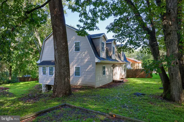 a view of a trees in a park