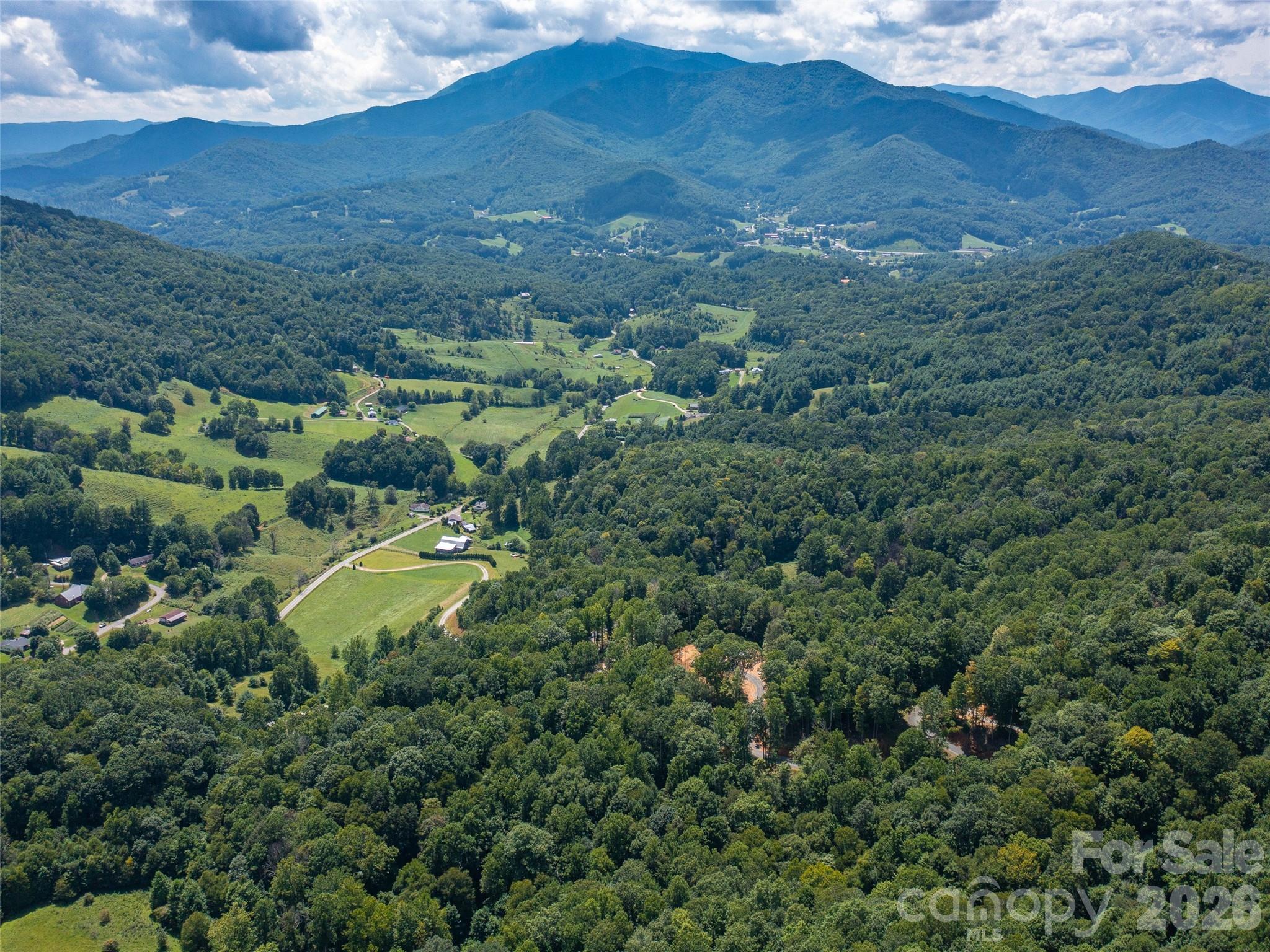 0 Locust Rough Mountain Road, Unit LOT 6 Burnsville, NC 28714 - Photo 2 of 26