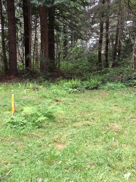 0 Splinter Lane Arcata, CA 95521 - Photo 7 of 15