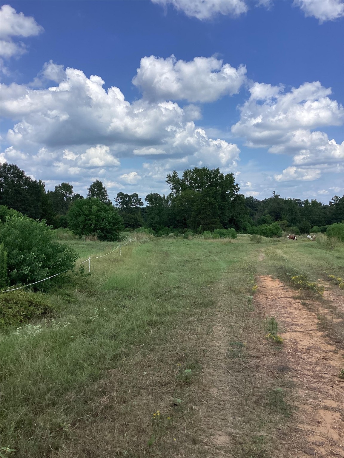 0 County Road 288 Garrison, TX 75946 - Photo 2 of 3 a view of a lake with houses in the back