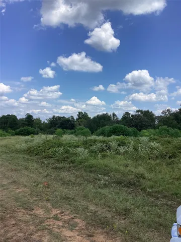 a view of a city with lush green forest