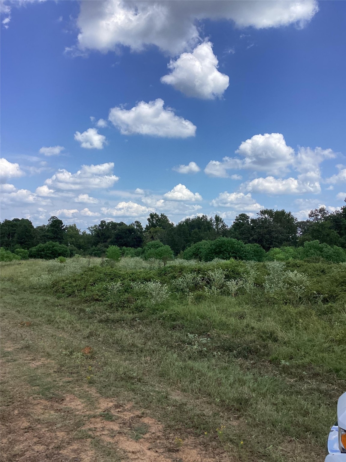 0 County Road 288 Garrison, TX 75946 - Photo 3 of 3 a view of a city with lush green forest