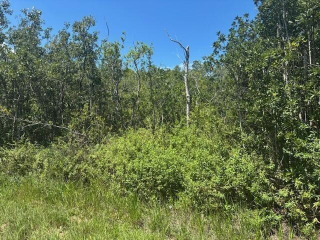 0 Sweet Hill Road Polk City, FL 33868 - Photo 2 of 4 Photo 2