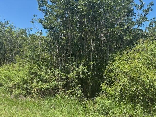 0 Sweet Hill Road Polk City, FL 33868 - Photo 3 of 4 Photo 3