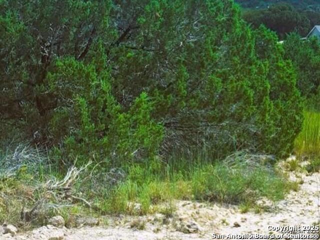 0 Ken Wayne Spring Branch, TX 78070 - Photo 1 of 2 a view of a yard