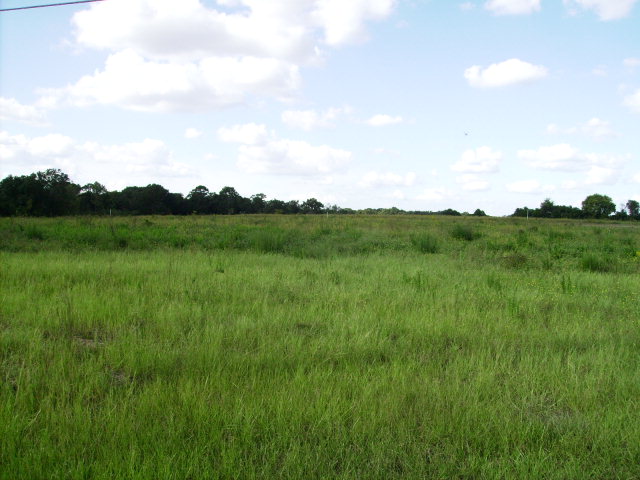 0 Solomon Road Headland, AL 36345 - Photo 1 of 1