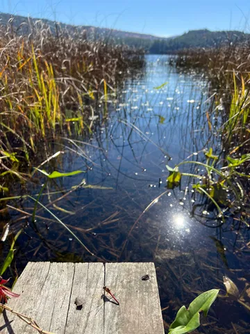 $499,000 | 31 Post Pond Lane, Lyme, NH 03768