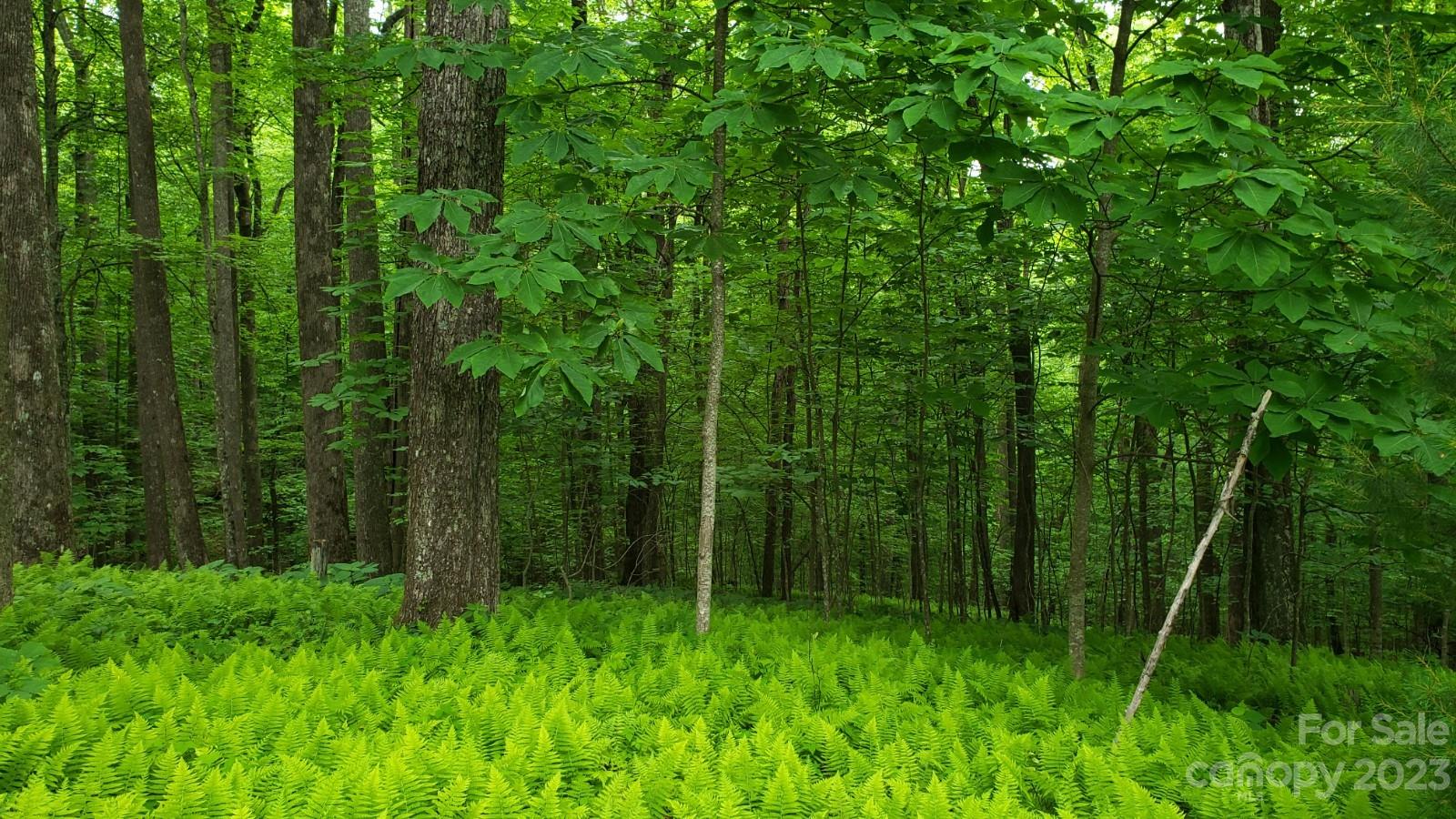 0 Severy Ln Unit 342A  